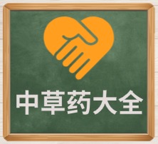 中草药大全